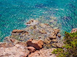 Livorno Baaien