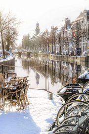 Beautiful Leiden! by Dirk van Egmond