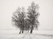 Winter Road Trip von Lena Weisbek Miniaturansicht