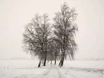 Winter Road Trip van Lena Weisbek