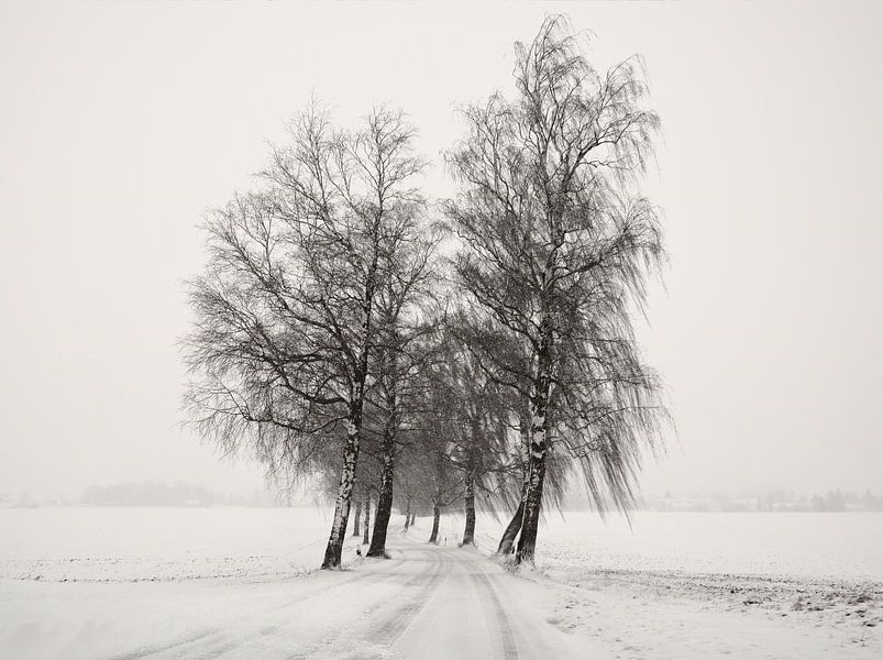 Winter Road Trip von Lena Weisbek