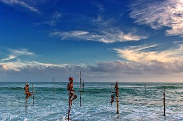 Stilt fishermen Sri Lanka