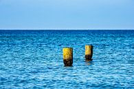 Strand an der Ostseeküste bei Graal Müritz van Rico Ködder thumbnail
