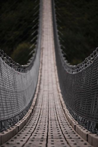 Suspension Bridge Geierlay