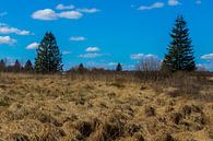 Typisch landschap van de Hoge Venen van Gottfried Carls thumbnail