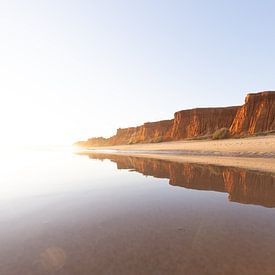 Sunset on the sandy beach Praia da Falésia. Cliffs Pink flowers near Albufeira, Portugal by Fotos by Jan Wehnert