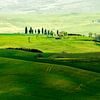 Landscape in Tuscany by Rob IJsselstein