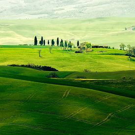 Landschap in Toscane