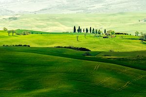 Landschap in Toscane von Rob IJsselstein