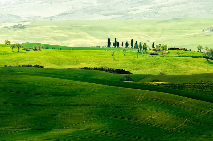 Landschap in Toscane van Rob IJsselstein