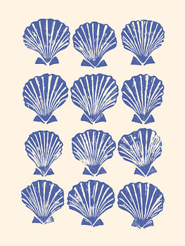 coquillages bleus