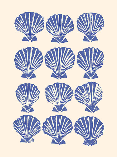blaue Muscheln