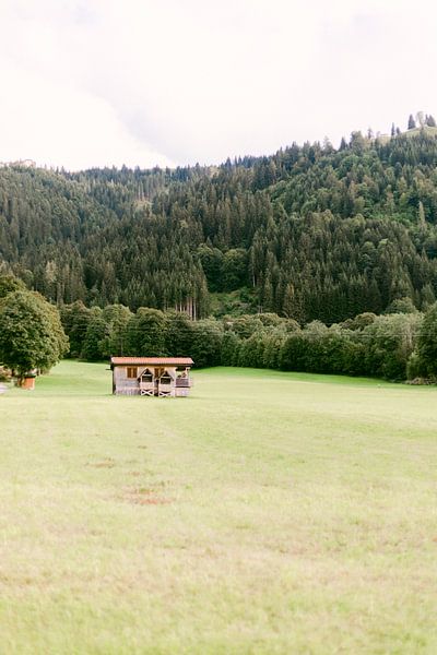 Maison de la nature à Wildschönau, Autriche par Vildan Ersert