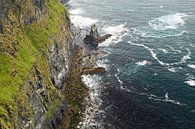Die Cliffs of Moher sind die bekanntesten Klippen in Irland. von Babetts Bildergalerie Miniaturansicht