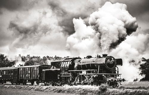 Steam Train driving in the countryside in black and white by Sjoerd van der Wal Photography