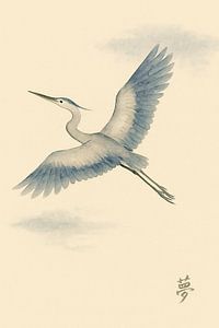 Flug in der Morgendämmerung