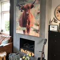 Klantfoto: Nieuwsgierige schotse hooglander koe portret van Bobsphotography, als art frame