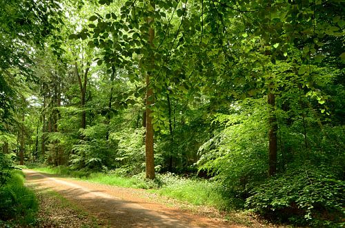 Unter dem Vordach von Corinne Welp