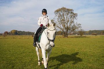 Training mit dem weißen Pferd auf einem Reitplatz im Herbst