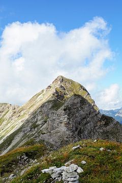 De Ammergauer Alpen: een natuurpark vol rust, ongerepte natuur en indrukwekkende berglandschappen - ideaal voor natuur- en bergfotografie. van Miriam Schwarzfischer Fotografie