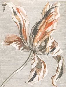 Abstrakte Tulpe mit Linien von Kjubik