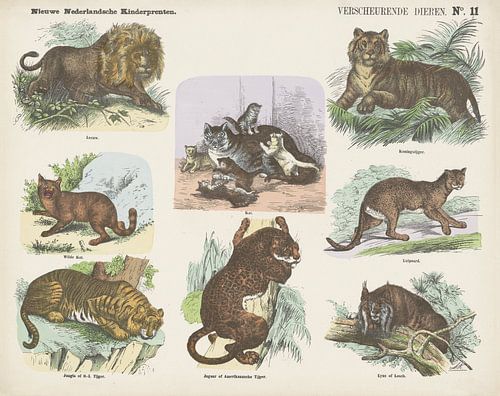 Verscheurende dieren van Monogrammist A.K., 1865 - 1875
