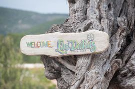 Ibiza Las Dalias by Marc van Gessel