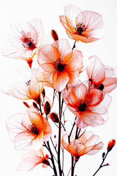 Delicate bloesems in het licht van Max Steinwald