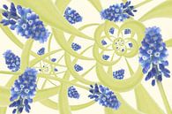 Fröhliche blaue Trauben im Frühling von Klaartje Majoor Miniaturansicht