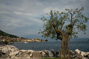 Salò, ein schönes Dorf am Gardasee in Italien von Bo Scheeringa Photography