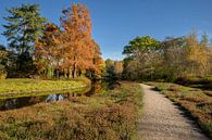 Herfst in Amstelveen van Peter Bartelings thumbnail