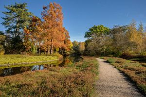 Herbst in Amstelveen