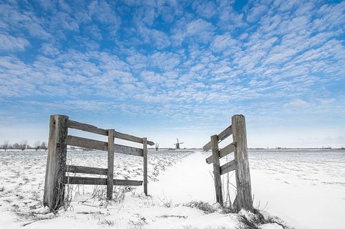 Hekje met molen in de winter