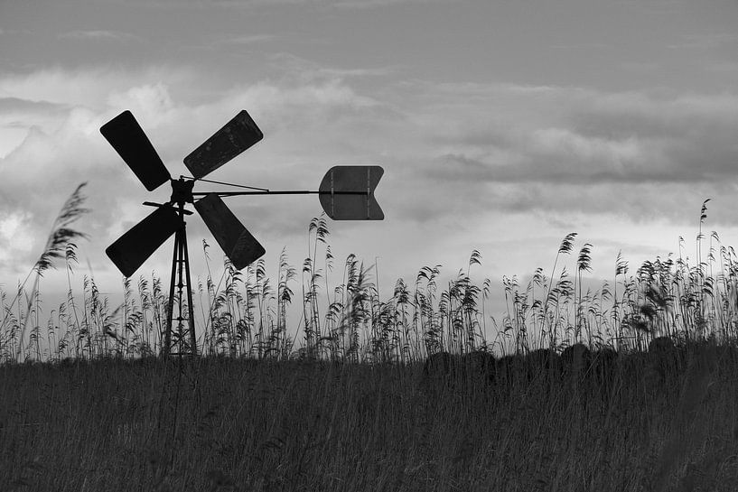 Windmühle, Wieden von Framed by Elisabeth
