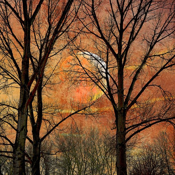 Maan tussen de Bomen 3. Impressionisme in Roestbruin. van Alie Ekkelenkamp