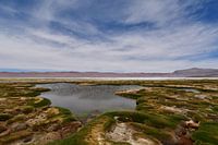 Atacama Desert with water