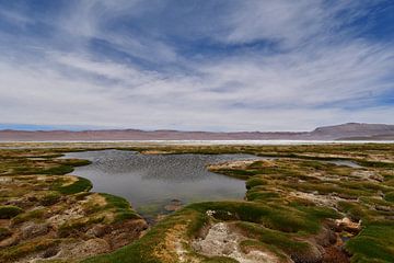 Atacama-woestijn met water van Andreas Muth-Hegener