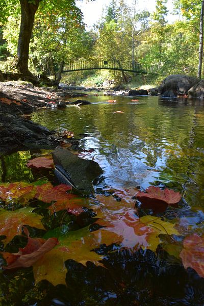 The creek in the park in autumn by Claude Laprise
