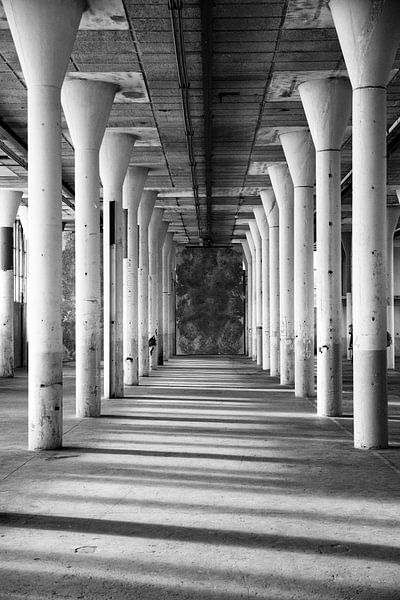 Corridor with pillars by shoott photography