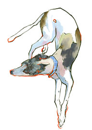 Moderne grafische Zeichnung eines verspielten Galgos – Greyhound-Hundekunst von ATELIER KAMILA M