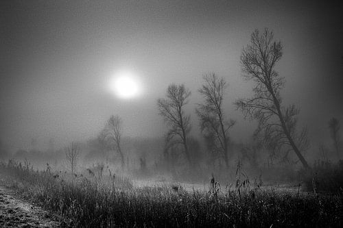 sfeervol mist landschap