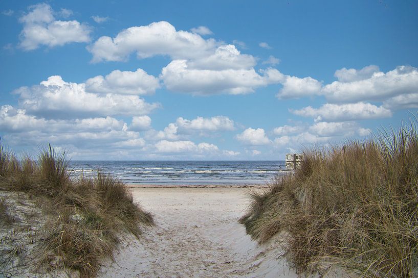 Strandovergang op Usedom met uitzicht op de Oostzee van Martin Köbsch