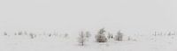 Winter-Wunderland-Panorama von Jim De Sitter Miniaturansicht