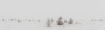 Winter wonderland panorama van Jim De Sitter