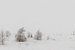 Winter-Wunderland-Panorama von Jim De Sitter