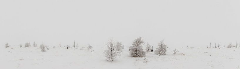 Winter-Wunderland-Panorama von Jim De Sitter