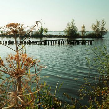 Zomers uitzicht over het Schildmeer vanaf natuurgebied Tetjehorn