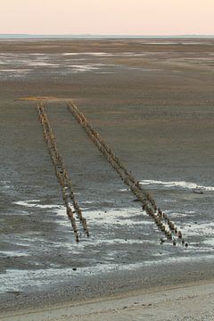 Waddenzee van Jan Nijeboer