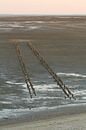 Waddenzee van Jan Nijeboer thumbnail