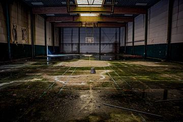 Basketbalveld van Steven Dijkshoorn